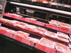 ダイレックス若葉町02-2