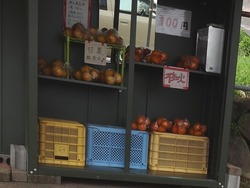 長与03-3