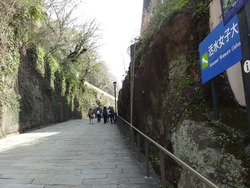 �������̤�01-5