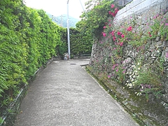 本河内12