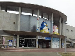 ペンギン水族館01