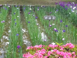 大村公園01-5