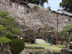 大村公園01-8