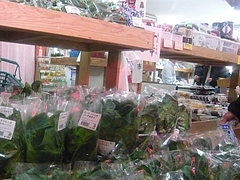 城栄町04-2