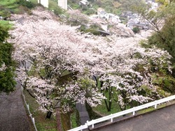 芒塚01-4