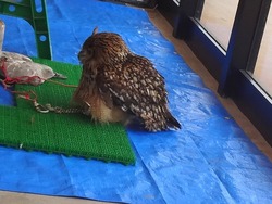 �ե쥹�ݿ���02-4