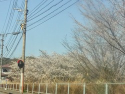 ������01-3