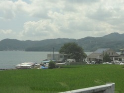 日泊01