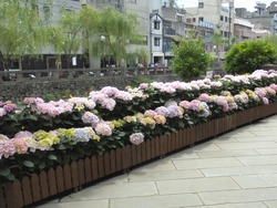 中島川01-5