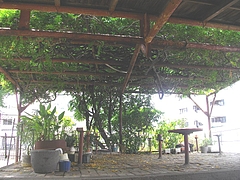 大徳寺03-3