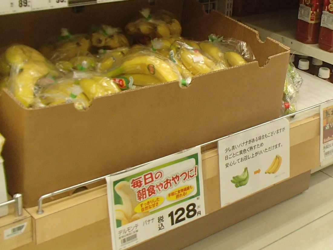 コスモスやダイレックスでお買い物 : 正しい休日の過ごし方