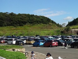 ������ε�01