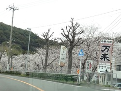 畝刈01