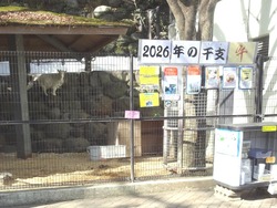 ��ˬ����02