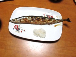 サンマ