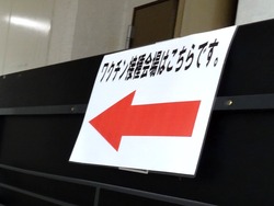 琴海01-3