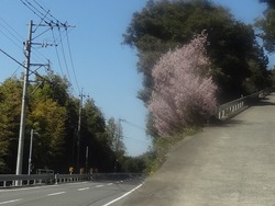 ������01