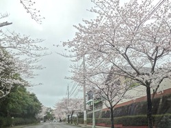 小江原01