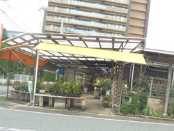 大村02-3