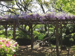 大村公園01-6