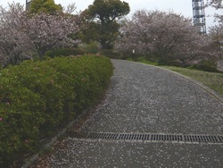 長与02-6