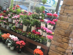 OK大村店01-8