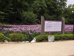 大村公園01-2