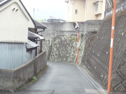 道