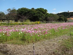 ������ε�02