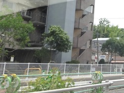 滑石01-5