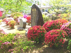 眼鏡橋03-6
