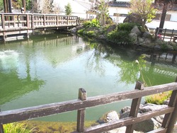 Å縶04-8