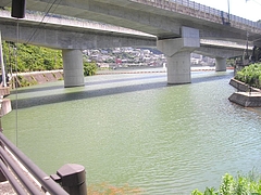 本河内水源地01