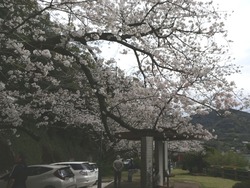 �»�Ϻ����01