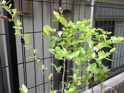 庭02-6