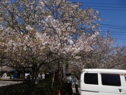 大村公園01