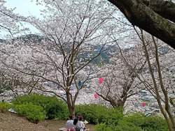 ���������01-6