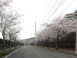 小江原01-2