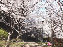 西山ダム公園02