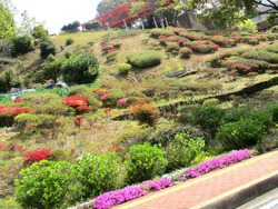 ���������02-5