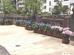 中島川01-2