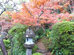 心田庵01-5