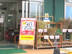 長与01-4