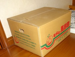 ジャガイモ01
