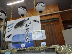 �����դ�01-6