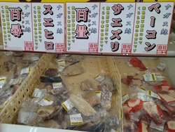 がんばランド01-2