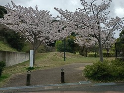 �����ꥹ�ѡ���01