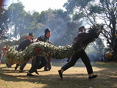 角上蛇踊01-2