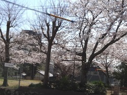 �����������00