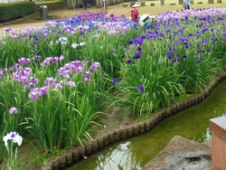 大村公園03-4